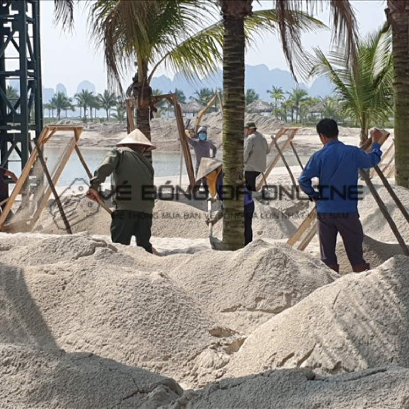 Công nhân đang sàng lọc và làm sạch cát trên bãi biển Tuần Châu, chuẩn bị cho các giải đấu bóng chuyền bãi biển sắp tới, đảm bảo một bề mặt cát mịn và an toàn cho các vận động viên.